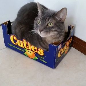 Meet your Posher, Louise